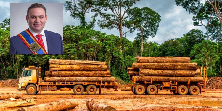 MPAM denuncia prefeito de Eirunepé por extração ilegal de madeira e degradação ambiental