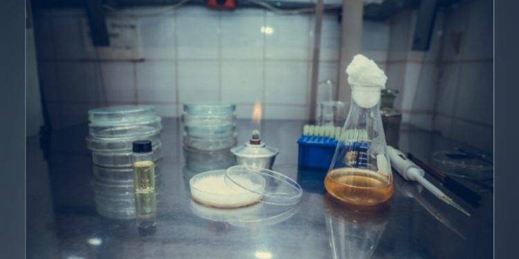 Pesquisa revela que óleos essenciais de plantas medicinais têm potencial no controle de doenças em vegetais