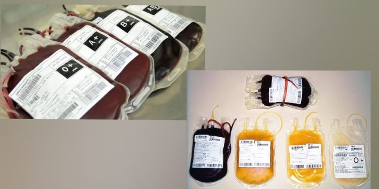 A cada mil brasileiros, apenas 16 são doadores de sangue no país