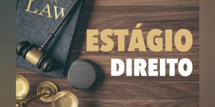 TJAM publica lista definitiva de inscritos para Curso de Formação de estagiários na área do Direito