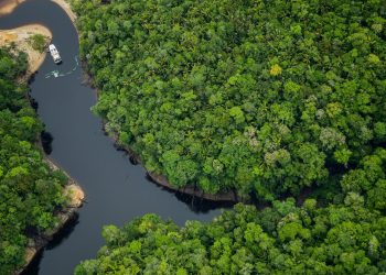 Amazonas é Reconhecido como Destino Número Um para o Ecoturismo pela Revista Forbes