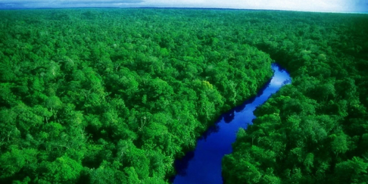 Justiça Federal Anula Licença para Exploração de Potássio na Amazônia e Determina que Compete ao Ibama