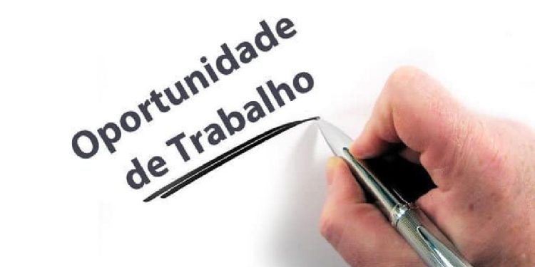 Sine Amazonas Anuncia 169 Vagas de Emprego nesta Quarta-feira 29/11
