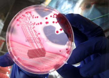 Resistência Microbiana: A Ameaça Global à Saúde