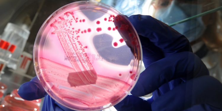 Resistência Microbiana: A Ameaça Global à Saúde
