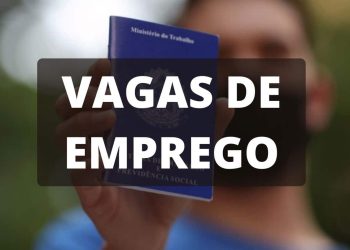 Sine Manaus Disponibiliza 304 Vagas de Emprego em Diversas Áreas nesta quinta-feira (23) de novembro 2023