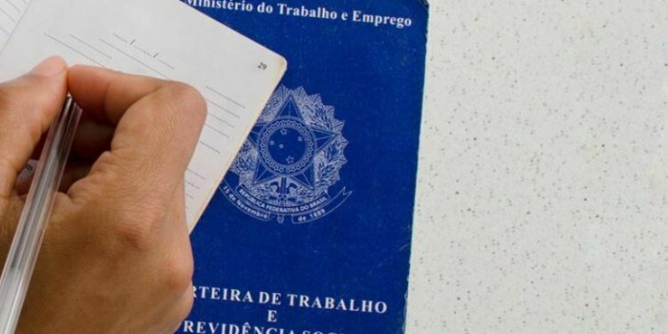 Prefeitura de Manaus, através do Sine Manaus, Disponibiliza 249 Vagas de Emprego em Diversas Áreas nesta terça-feira 5/12