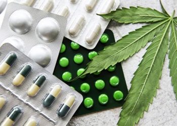 Juiz concede autorização para farmácia produzir produtos à base de cannabis