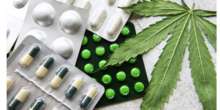 Juiz concede autorização para farmácia produzir produtos à base de cannabis