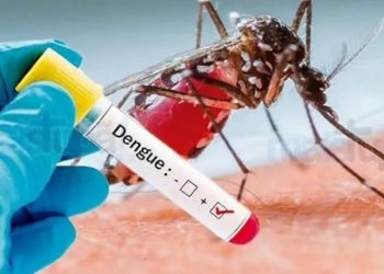 Brasil pode enfrentar epidemia de dengue com até 5 milhões de casos em 2024