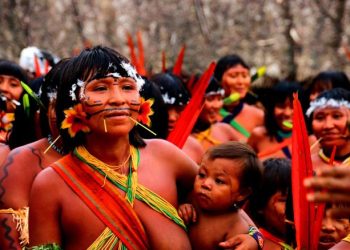 Investigação sobre genocídio yanomami envolve quatro delegados e pode ter desdobramentos internacionais