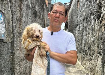 Kennedy Marques resgata cachorro abandonado dentro de cesto de lixo no bairro coroado