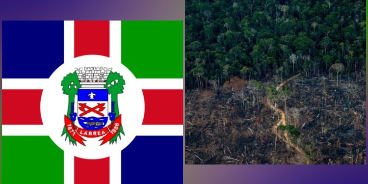 Ibama faz operação de combate ao desmatamento no sul de Lábrea-Am