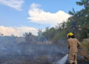 Em dois meses, Operação Aceiro 2024 combateu 4.276 focos de incêndios no interior