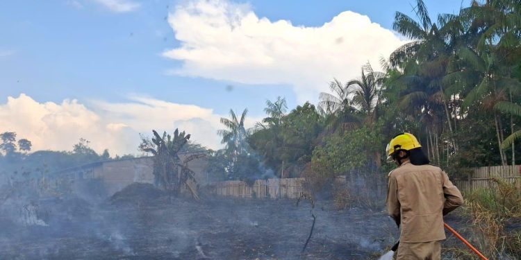 Em dois meses, Operação Aceiro 2024 combateu 4.276 focos de incêndios no interior