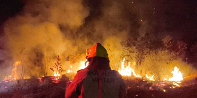 Operação Aceiro: Corpo de Bombeiros combate incêndio em área de vegetação no município de Boca do Acre