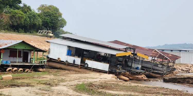 Um convite urgente pela proteção da Amazônia e mobilização pelo Clima: