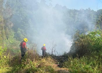 Em 10 dias, Corpo de Bombeiros atendeu 53 ocorrências de incêndio em vegetação urbana e lixeiras clandestinas em Manaus