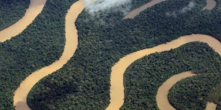 Amazonas tem queda de 93,4% nos registros de focos de calor em julho de 2025