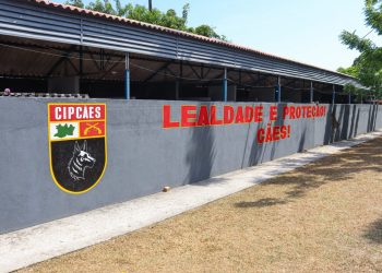 Setembro Verde: SEPcD divulga resultado para atividade lúdica com cães da Polícia Militar