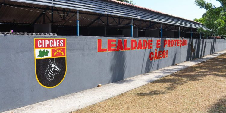 Setembro Verde: SEPcD divulga resultado para atividade lúdica com cães da Polícia Militar