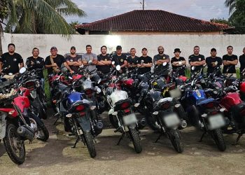 Polícia Civil, por meio da DERFV, recupera 264 veículos roubados/furtados e prende 64 pessoas de janeiro a agosto