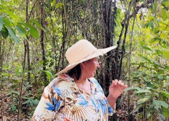 Tecnologia na Amazônia: entenda como inovação tecnológica monitora impacto ambiental e trabalho de agricultores …