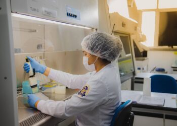 Governo do Amazonas lança 15 novos editais no valor de mais de R$ 81 milhões