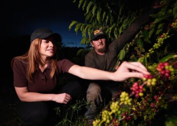 Sul do Amazonas pode ser polo agrícola desde que receba o apoio que precisa, destaca Drª Aryel Almeida