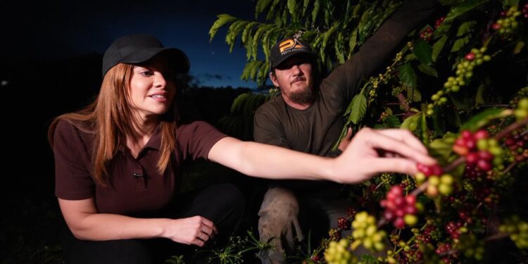 Sul do Amazonas pode ser polo agrícola desde que receba o apoio que precisa, destaca Drª Aryel Almeida